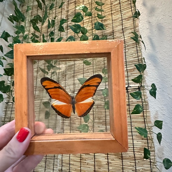 Wood mid century modern Framed Orange Butterfly Decor - Picture 4 of 9